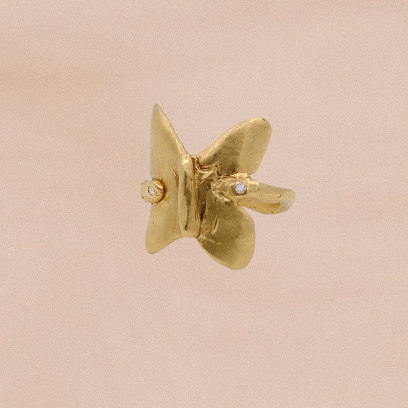 MUSE Ring IV: Mariposa