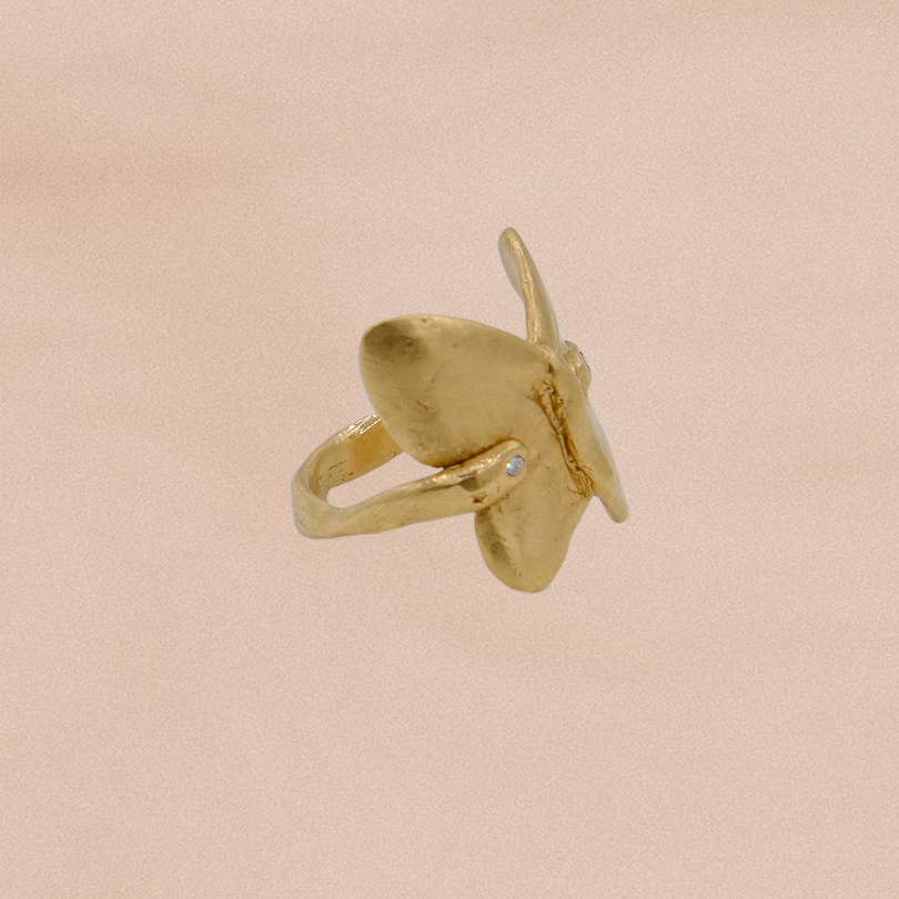 MUSE Ring IV: Mariposa