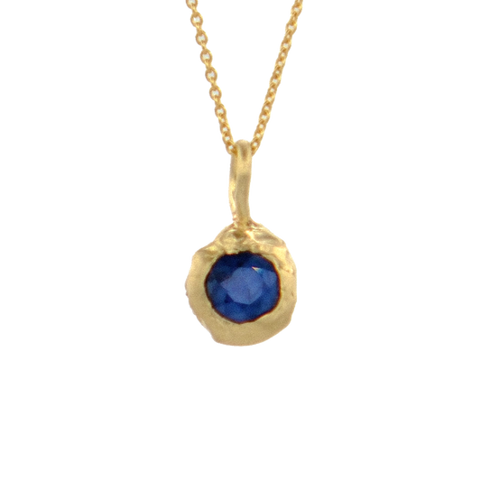 Terra Pendant with Blue Sapphire