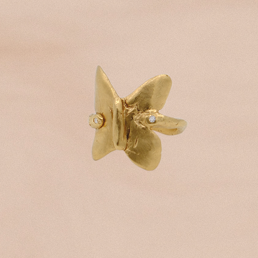 MUSE Ring IV: Mariposa