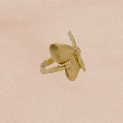 MUSE Ring IV: Mariposa