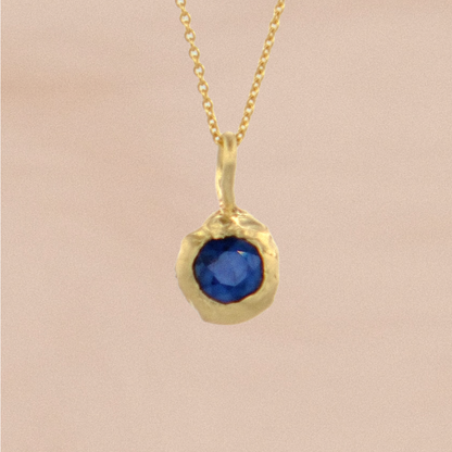Terra Pendant with Blue Sapphire